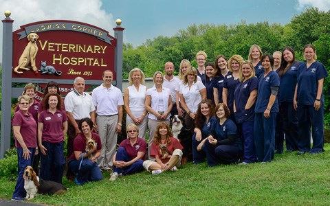 Ludwigs Veterinary Hospital Team
