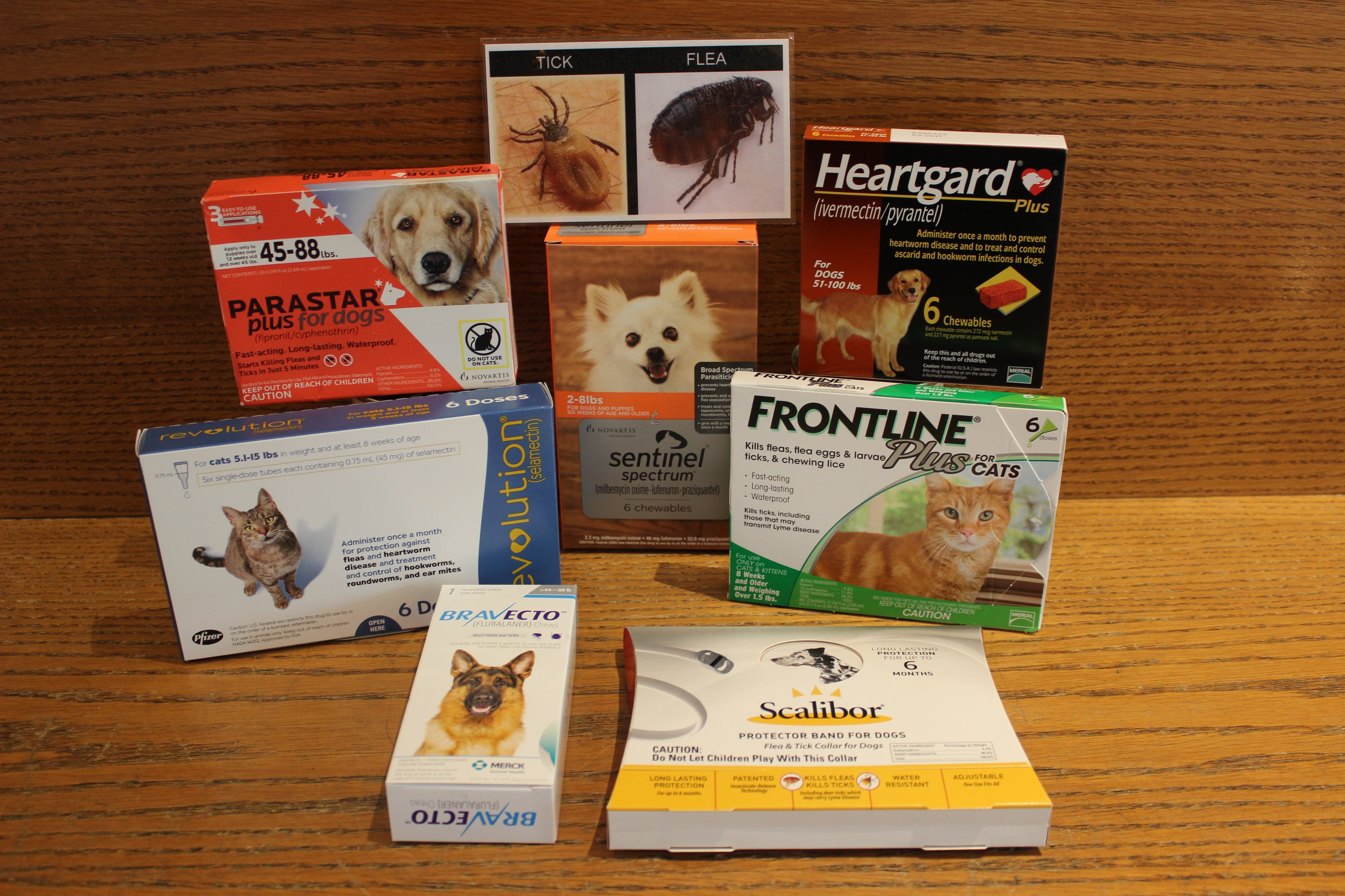 Why buy your pet's preventative products from your veterinarian? - Blo